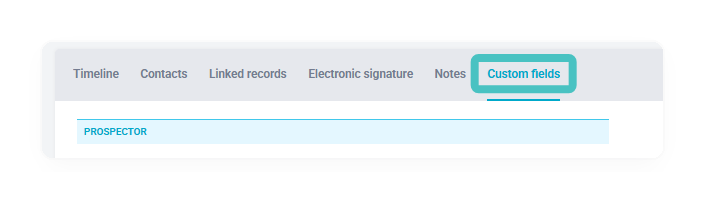 The Custom fields tab of a Raynet account card with the Prospector section